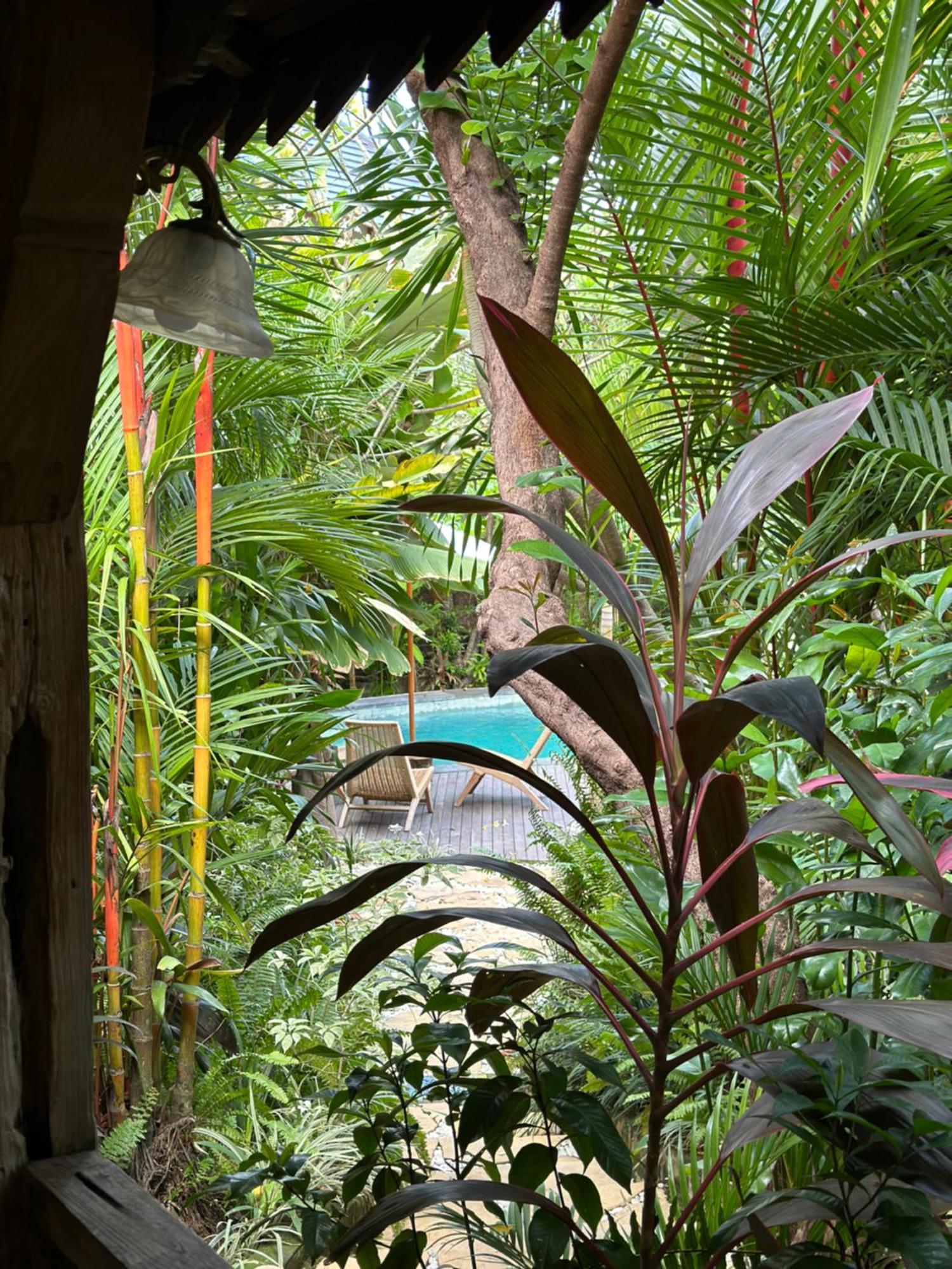 Umakayu Joglo Villa Canggu - Boutique Hotel エクステリア 写真